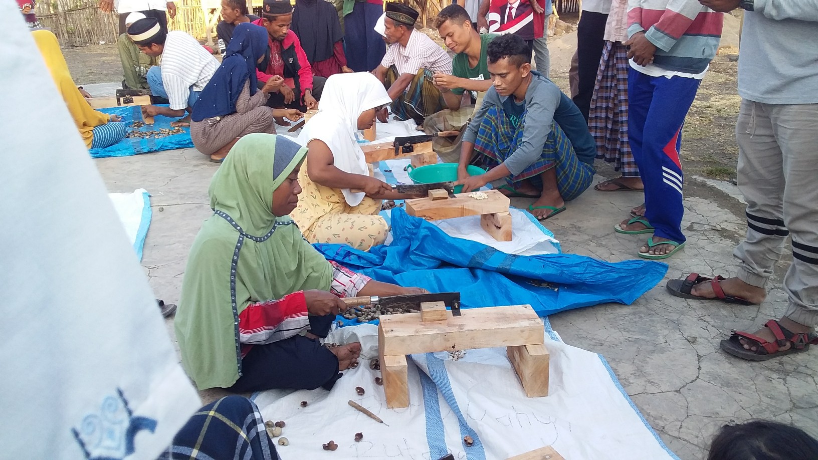 Yayasan Baitul Halim Jakarta Memberikan Pelatihan Pengolahan Kacang Mete di Desa Siru