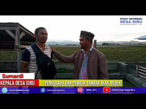 Budidaya Ikan dan Bebek
