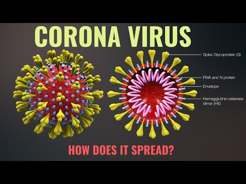 Surat Edaran Pemdes Siru : Pencegahan Corona Virus (Covid-19)