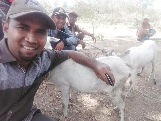 Foto : Penyerahan Kambing Tahap Ke II Kepada Warga Dusun Poco Ndoang