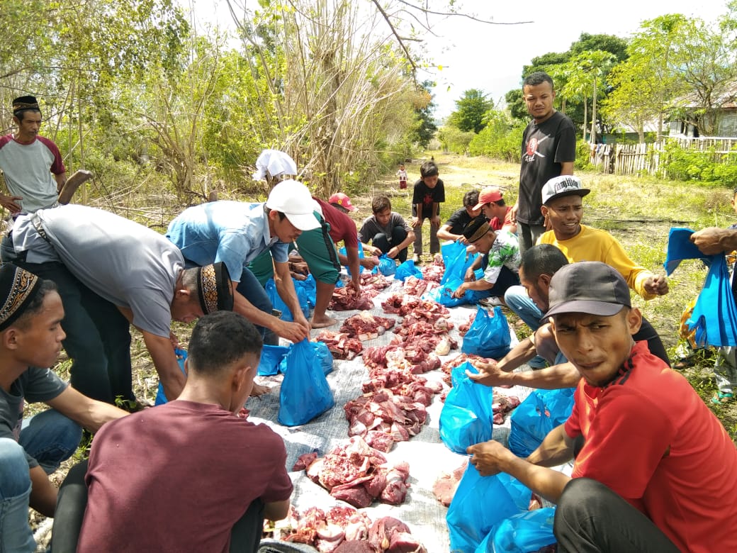 Ada 31 Hewan Qurban di Desa Siru