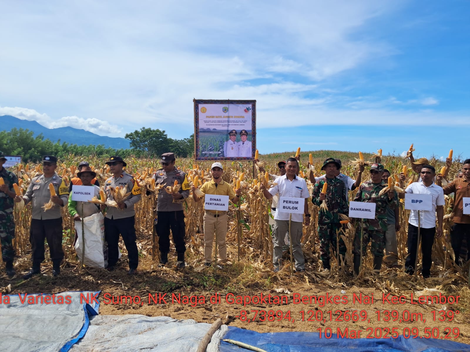 Bulog Siap Serap Jagung Petani dengan Harga 5.500/Kg