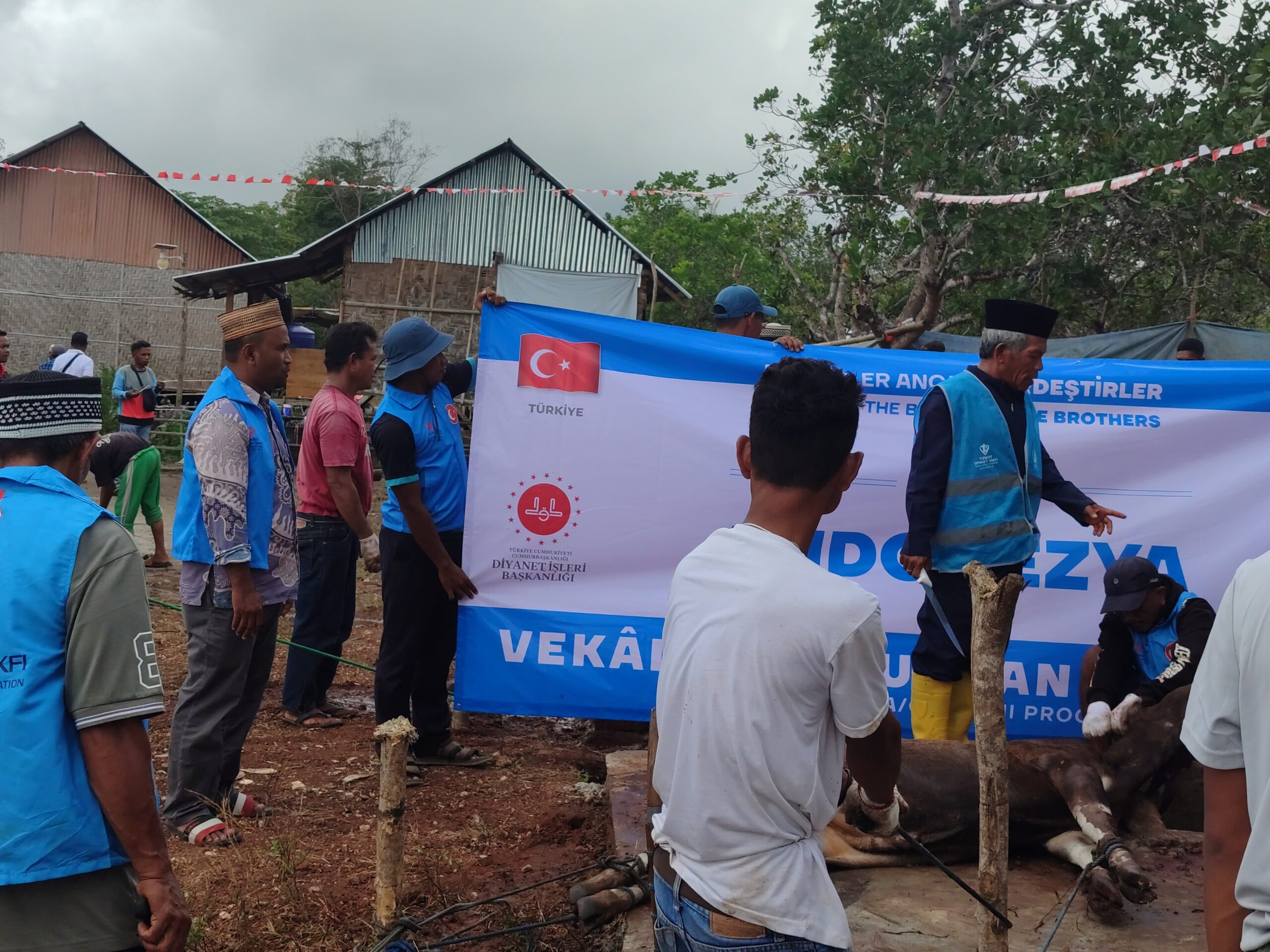Turki Beri Bantuan 76 Ekor Sapi Qurban di Siru