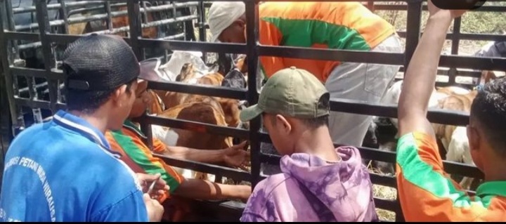 Perkuat Ketahanan Pangan, Kades Siru Serahkan Bantuan Kambing