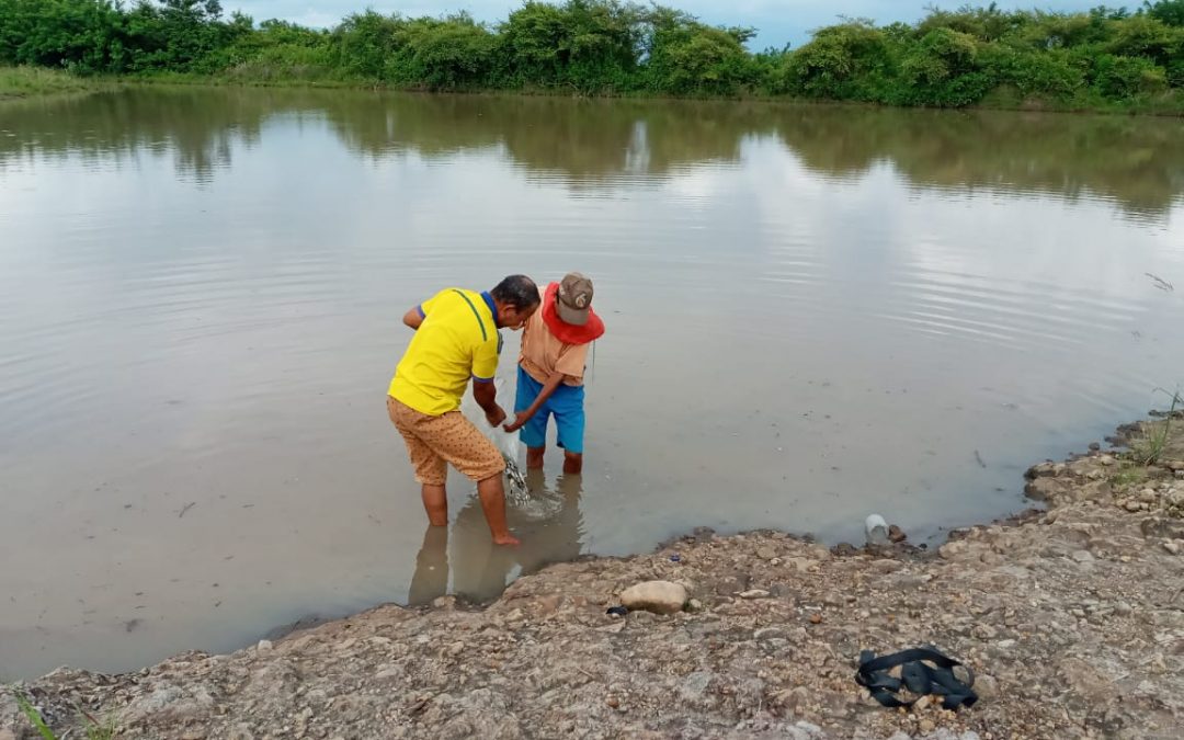Dinas Ketahanan Pangan dan Perikanan Beri Bantuan 3000 Bibit Ikan di Desa Siru