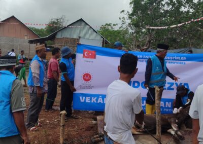 Turki Beri Bantuan 76 Ekor Sapi Qurban di Siru