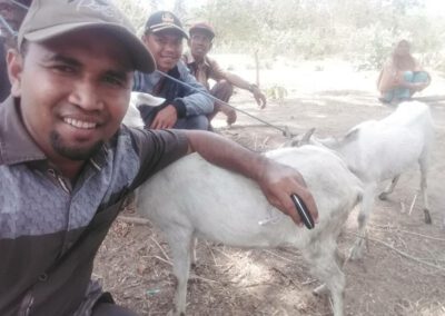 Foto : Penyerahan Kambing Tahap Ke II Kepada Warga Dusun Poco Ndoang