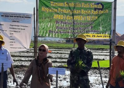Tanam Simbolis : Kadis Pertanian, Tanaman Pangan, dan Hortikultura Optimis Manggarai Barat Swasembeda Benih