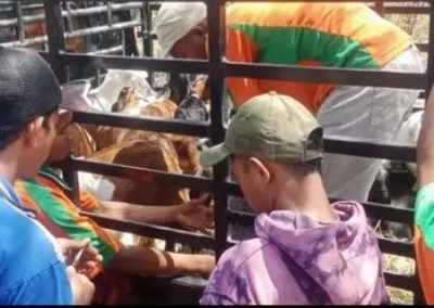Perkuat Ketahanan Pangan, Kades Siru Serahkan Bantuan Kambing